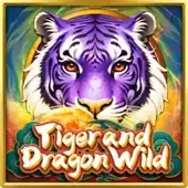 Tigre Rugiente y Dragón Salvaje game cover